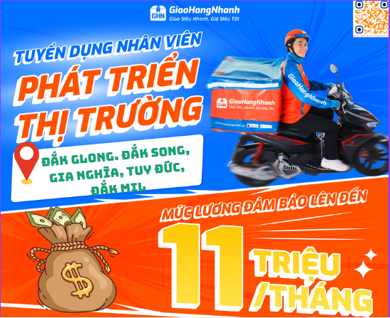lĩnh vực hoạt động